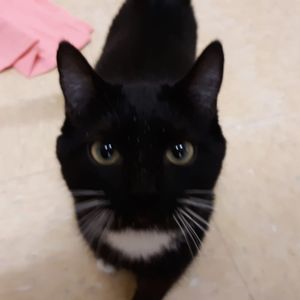 Meet your Posher, Melinda